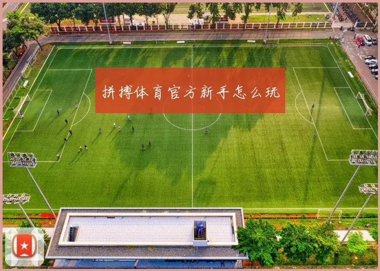 拼搏体育官方新手怎么玩