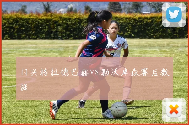 门兴格拉德巴赫vs勒沃库森赛后数据