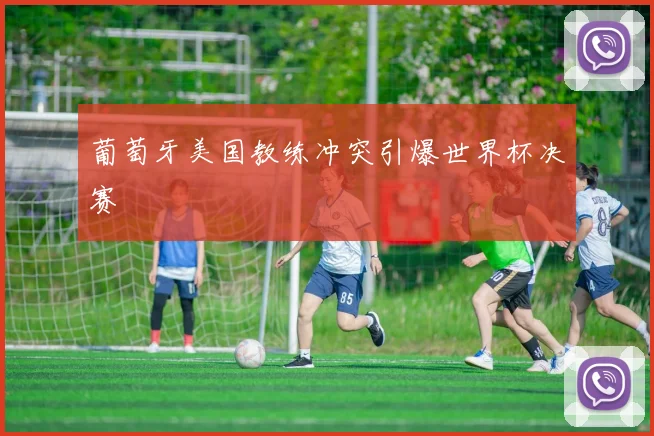 葡萄牙美国教练冲突引爆世界杯决赛