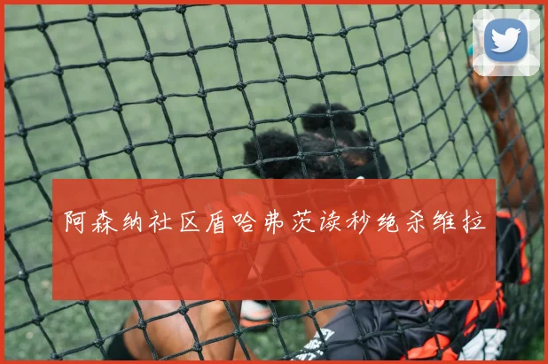 阿森纳社区盾哈弗茨读秒绝杀维拉