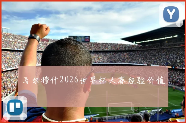马尔穆什2026世界杯大赛经验价值