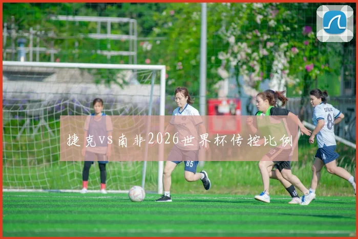 捷克vs南非2026世界杯传控比例