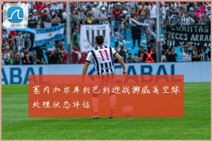 塞内加尔库利巴利迎战挪威高空球处理状态评估